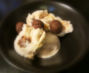 Vanilla Coconut Milk Ice Cream