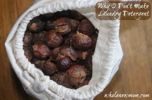 Soap Nuts Review