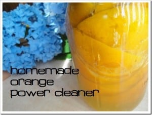 Natural Orange Oil Cleaner