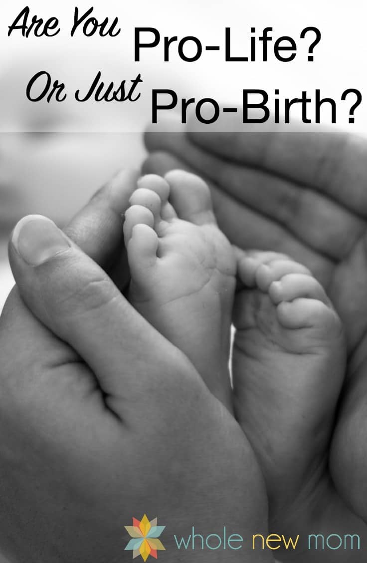 What Is Pro Life What Does It Really Mean?
