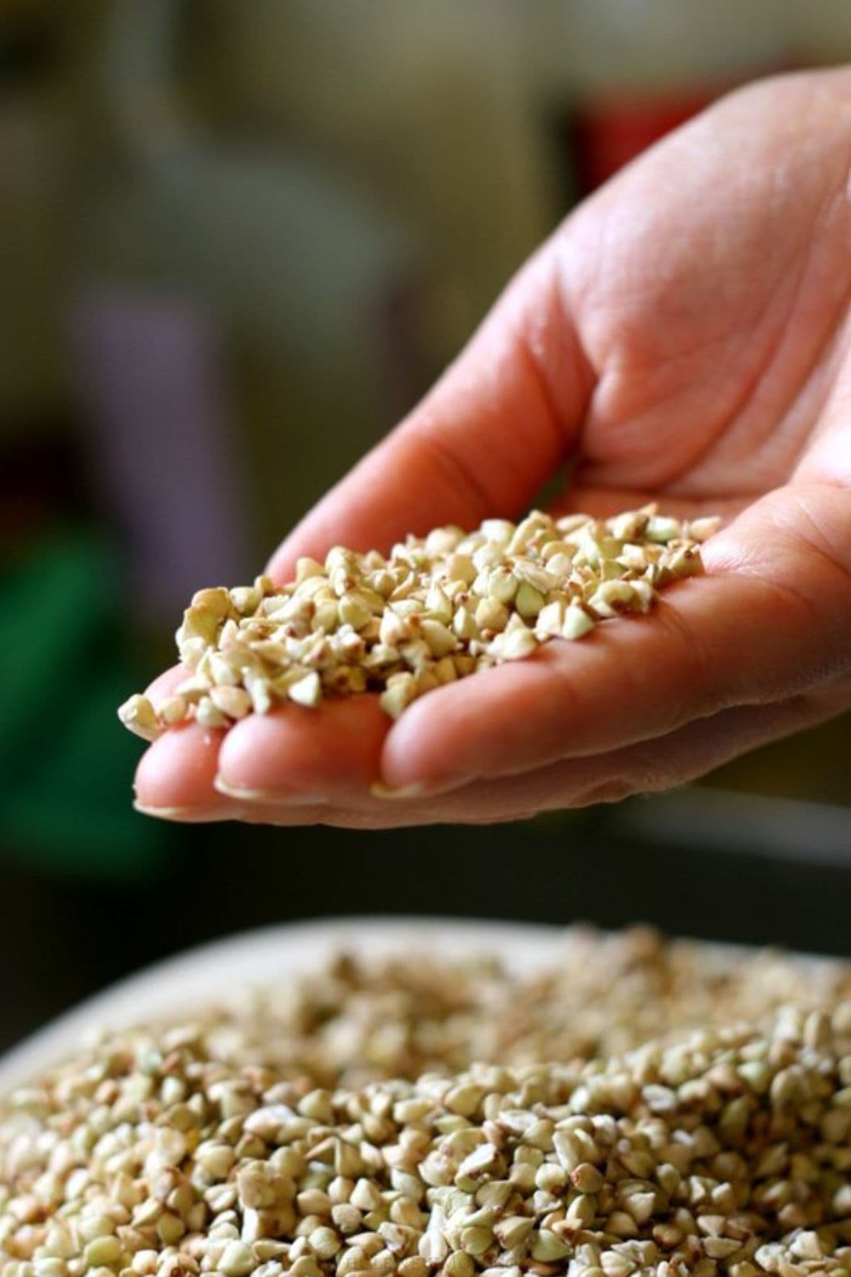 hand holding hulled buckwheat groats.