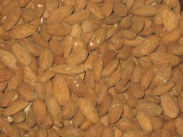 How to Store Almonds