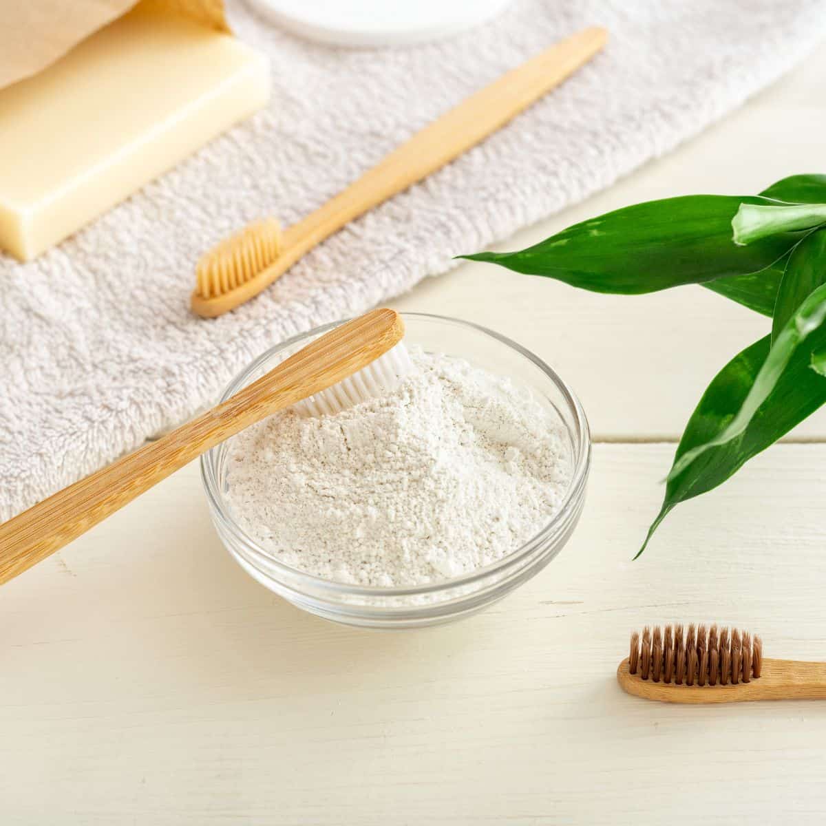 bowl of tooth powder with bamboo toothbrushes