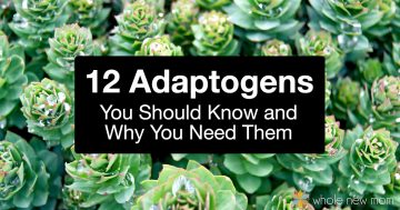 What Are Adaptogens? A List of 12 Adaptogens You Should Know