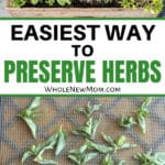 Pinterest Hidden Image