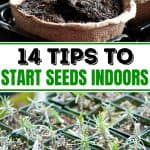 Pinterest Hidden Image