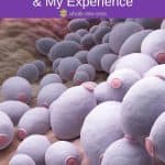 Pinterest Hidden Image