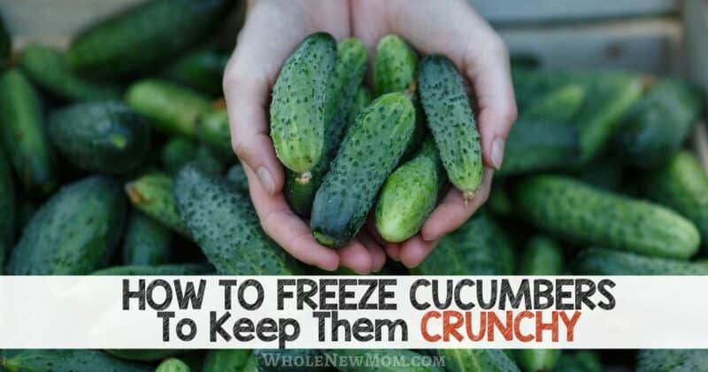 How To Freeze Cucumbers The Ultimate Guide Whole New Mom 3796