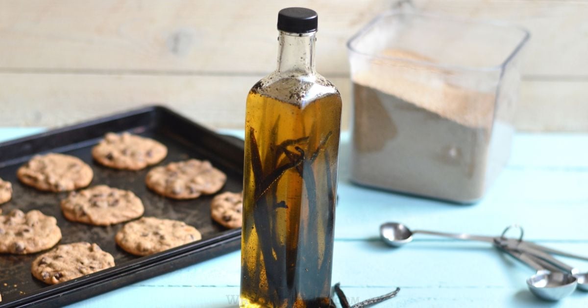 vanilla extract and vanilla beans in a bottle.