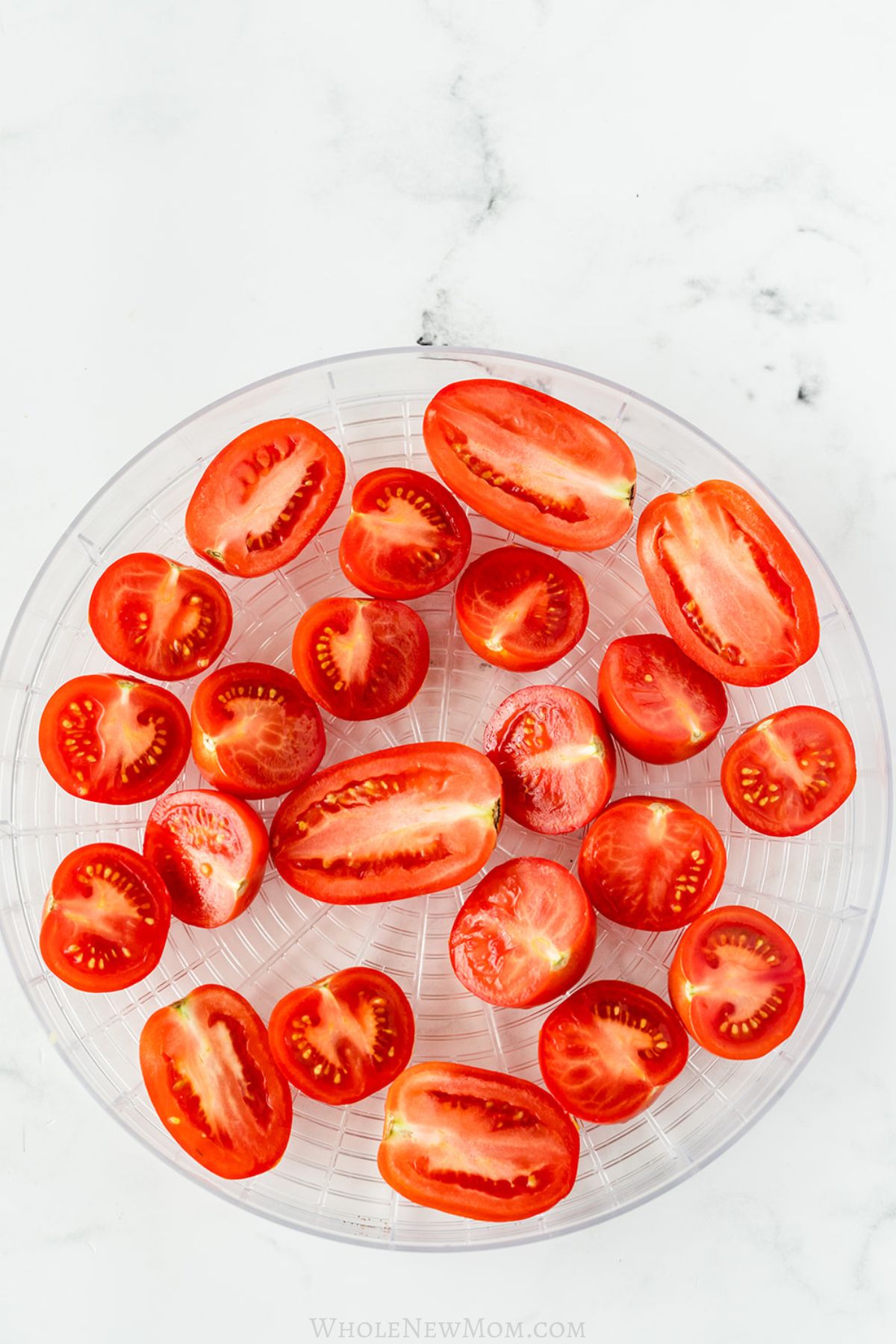 sliced tomatoes on dehydrator tray for making homemade sun-dried tomatoes.