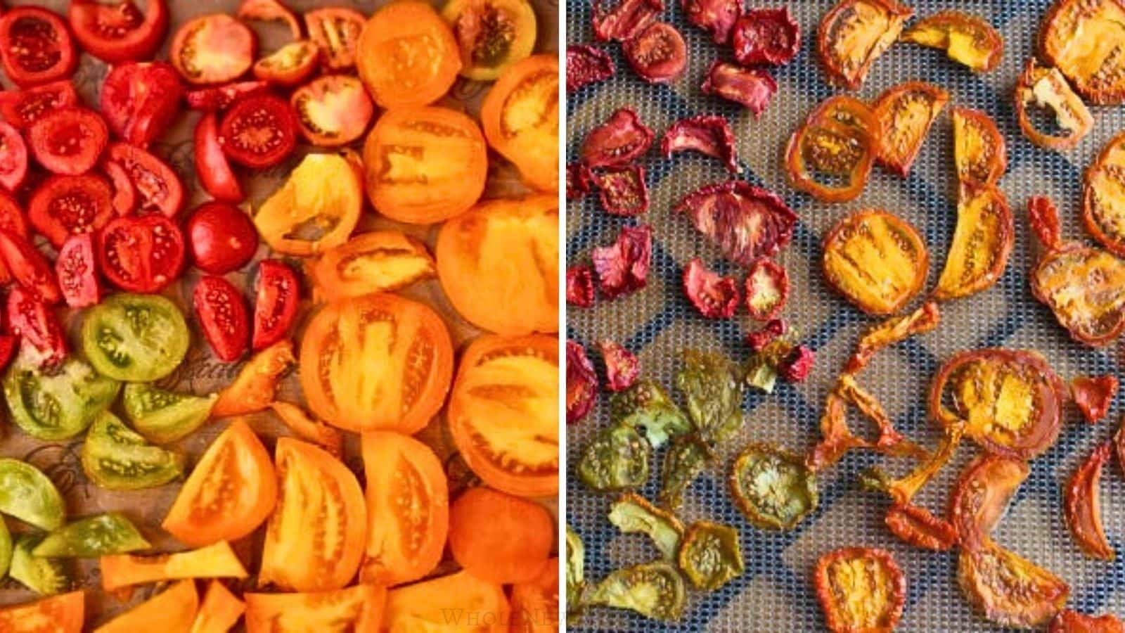 sliced heirloom tomatoes on dehydrator tray before and after drying to make homemade sun-dried tomatoes.