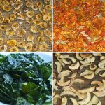 dried apple and banana slices, homemade sun-dried tomatoes, and kale chips or post about benefits of dehydrating food.