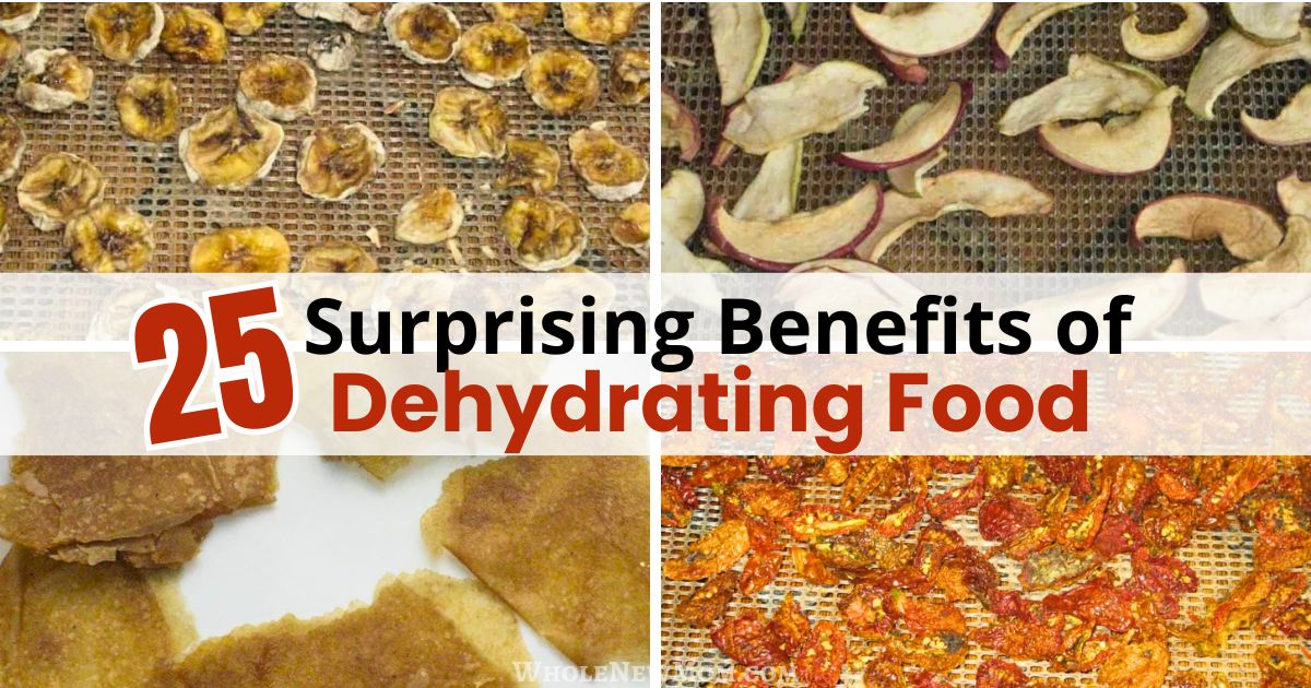 dehydrated bananas and apples with homemade fruit leather and sun-dried tomatoes with title saying 25 benefits of dehydrating food.
