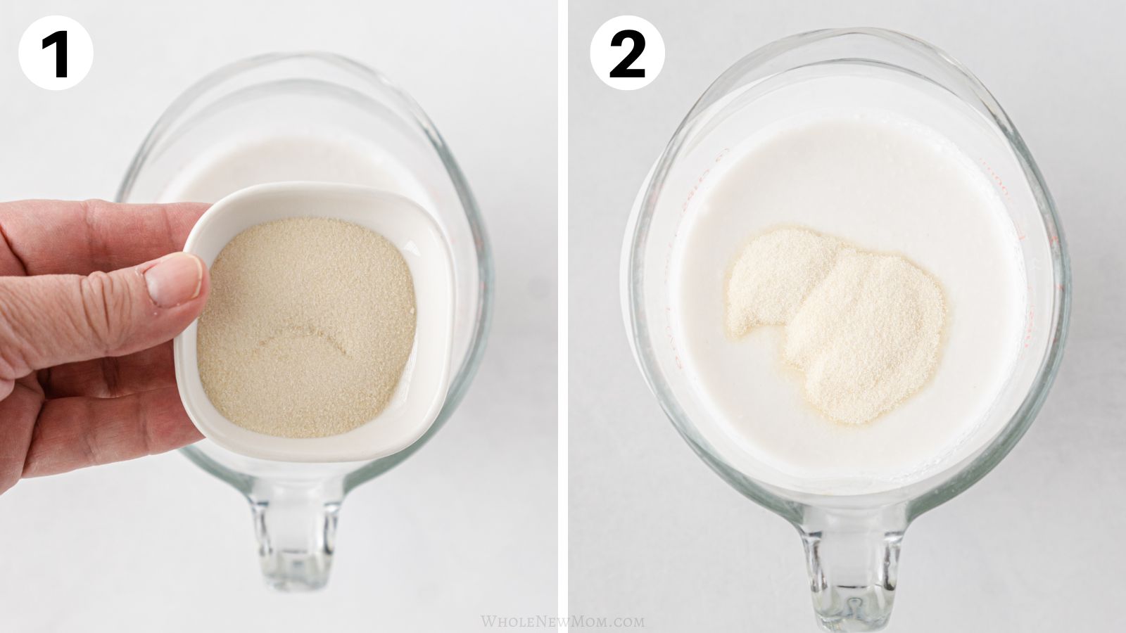 blooming gelatin in coconut milk for coconut panna cotta.