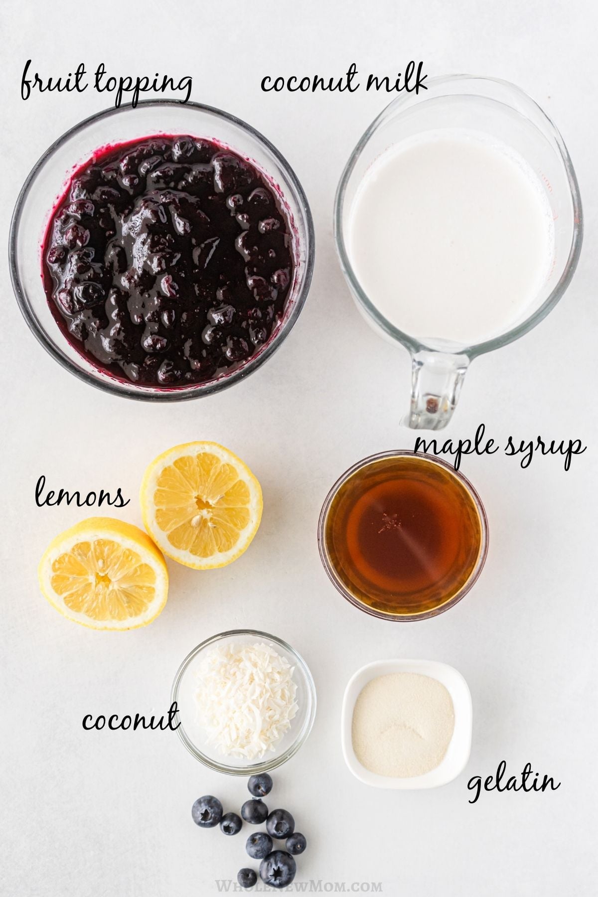 coconut panna cotta ingredients.