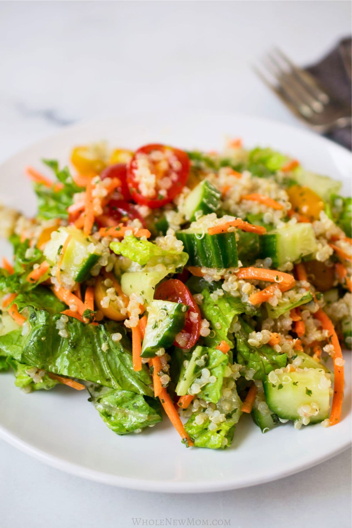 garden quinoa salad on white plate.