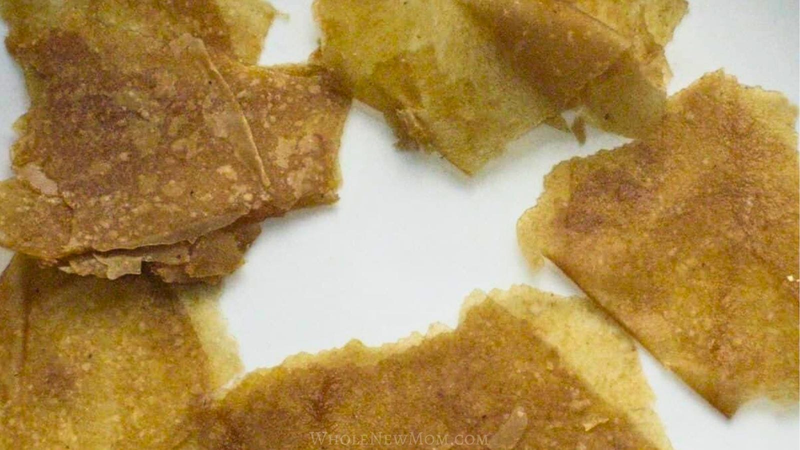 homemade fruit leather/homemade apple leather.