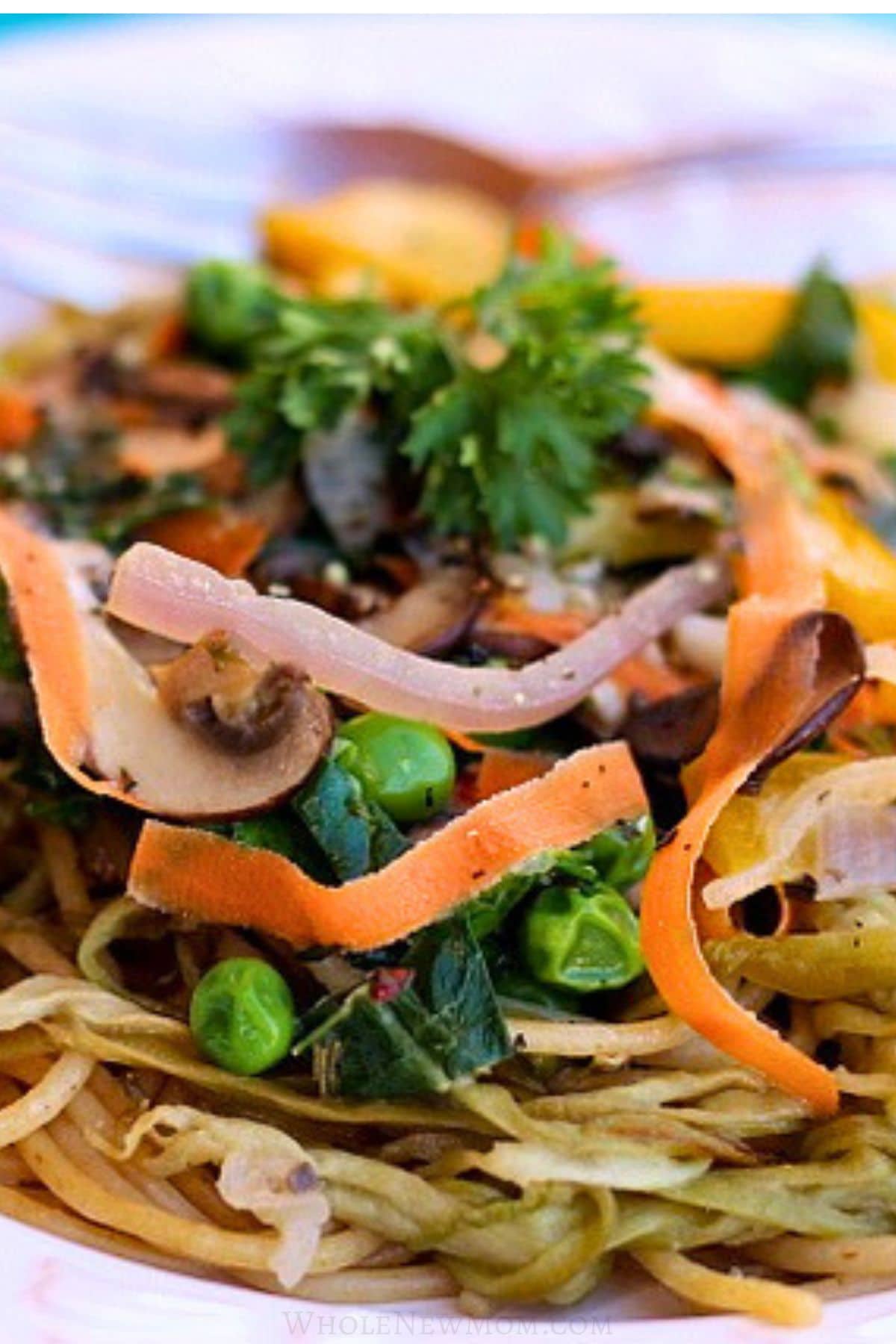 closeup of eggplant noodles with vegetables.