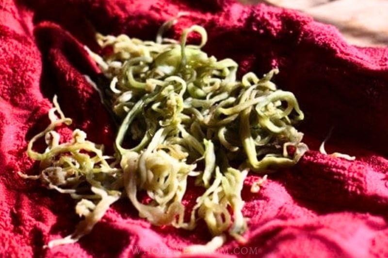 Eggplant noodles after salting to remove excess moisture.