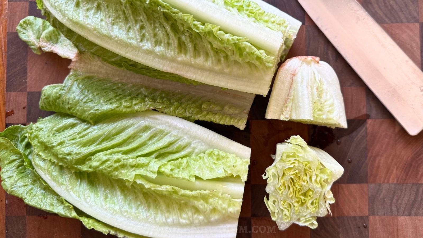 romaine lettuce with cut stems getting ready to regrow lettuce in water.