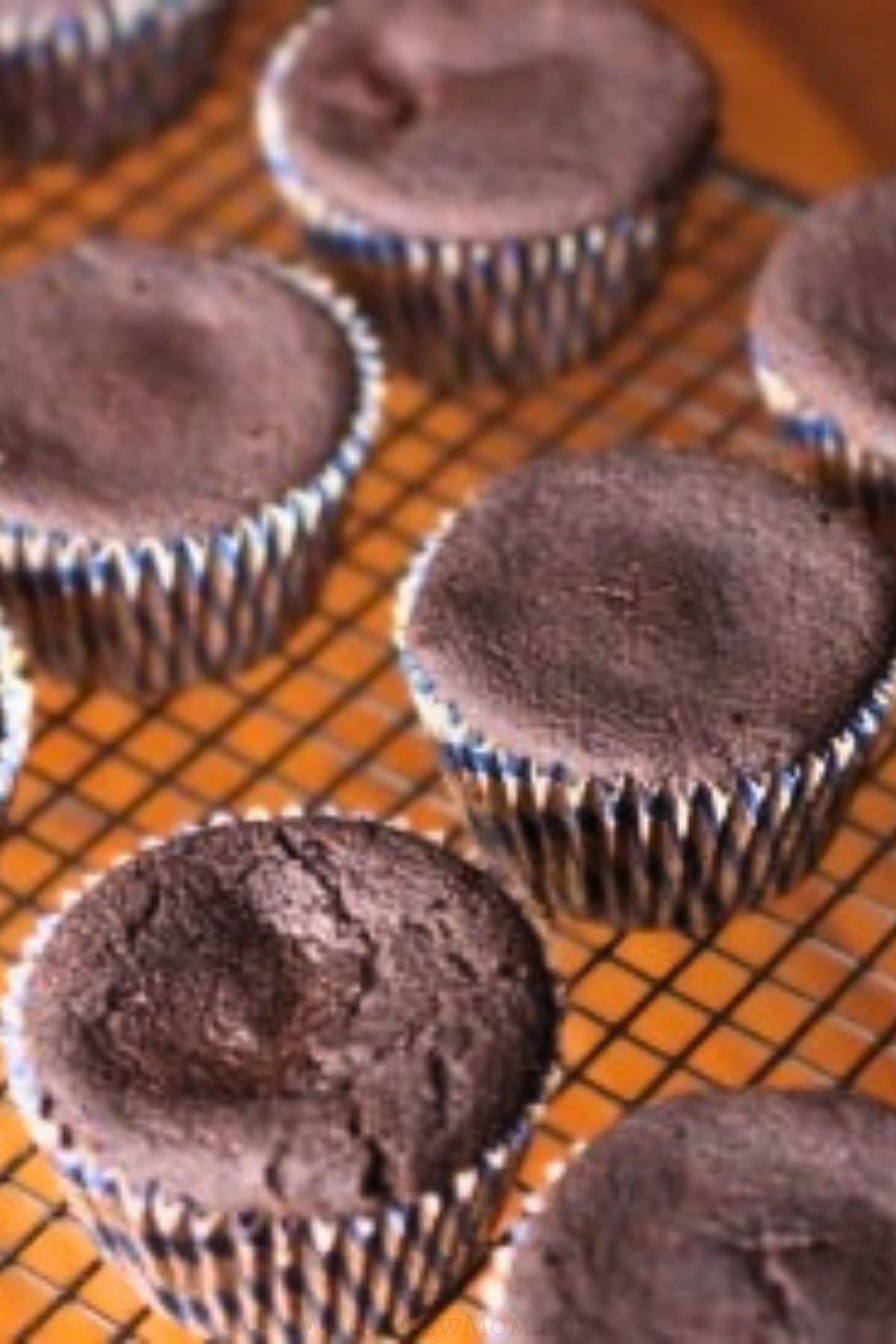 gluten free chocolate cheesecake cupcakes.