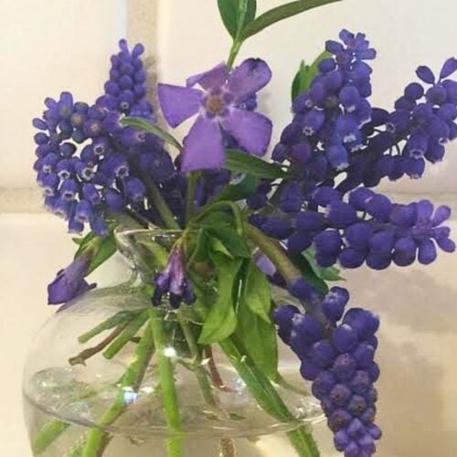 small vase with cut flowers for post talking about how to make cut flowers last longer.