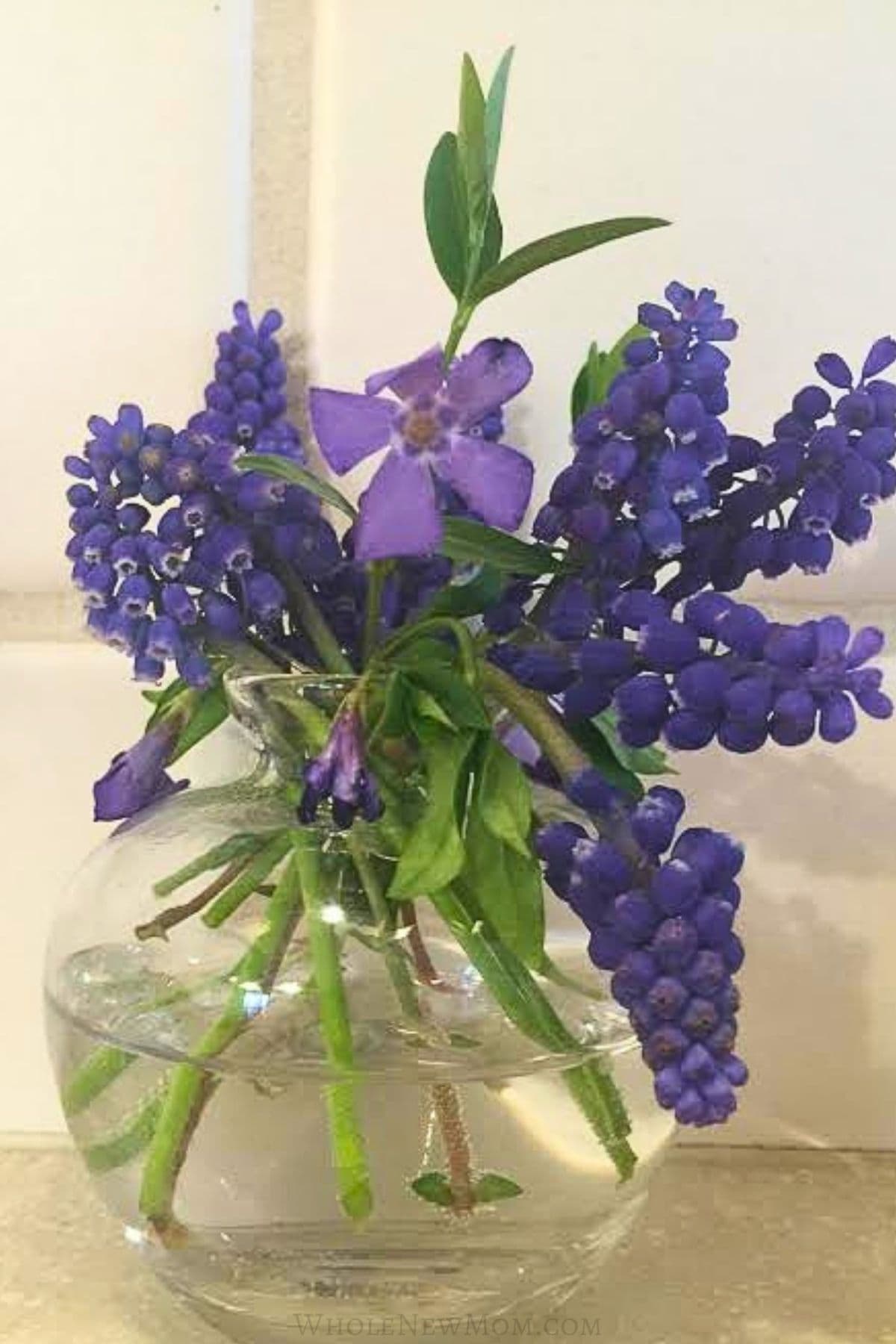small vase with cut flowers for post talking about how to make cut flowers last longer.