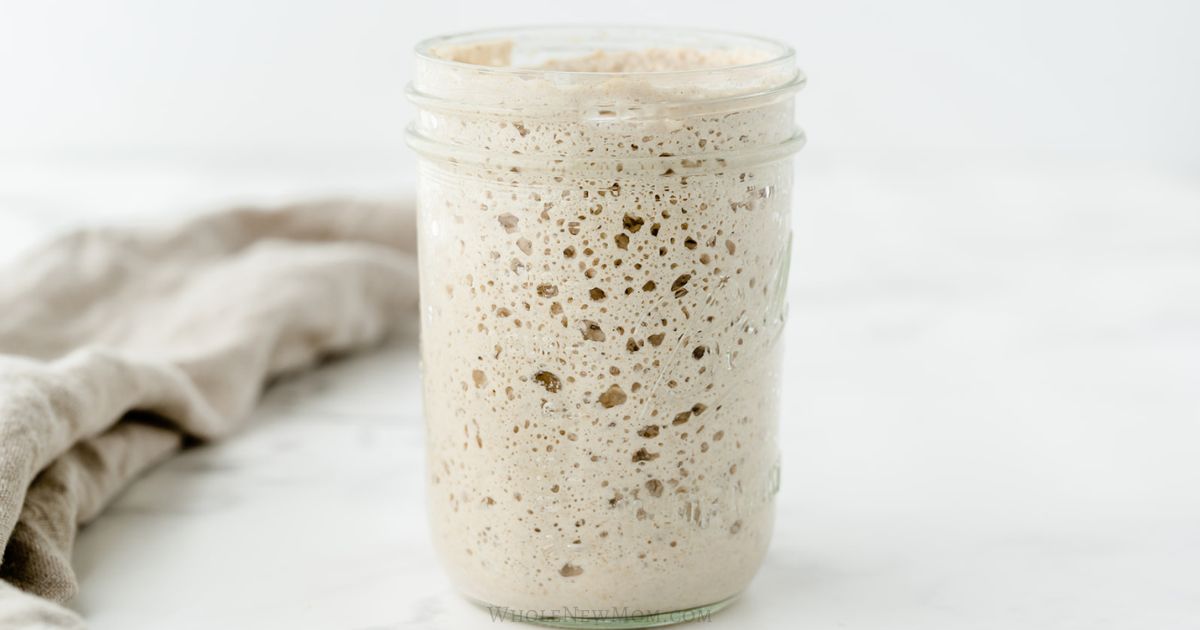gluten free sourdough starter in jar.